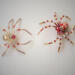 Golden and red beaded spider sculptures featuring fiery accents, copper-toned beads, and elegant handmade wirework.